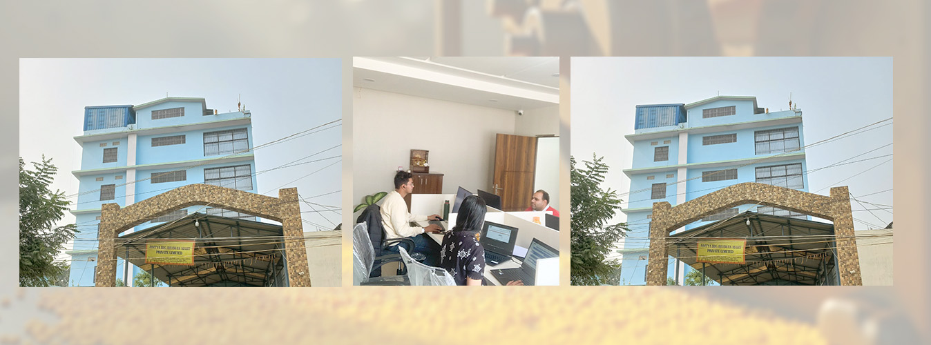 Company Profile